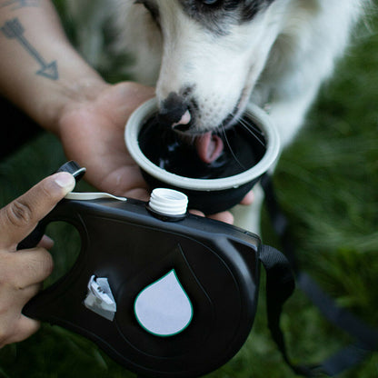 Multifunctional Pet Leash
